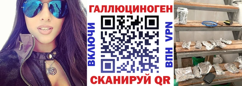 Псилоцибиновые грибы Psilocybe  Наволоки 